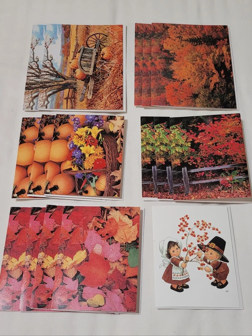 Greeting Card Bundle (40 Cards), Current & Suzy's Zoo -  Easter, Fall, Halloween